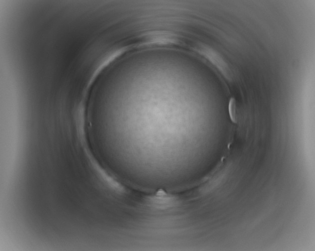 X0000113901134200910011337