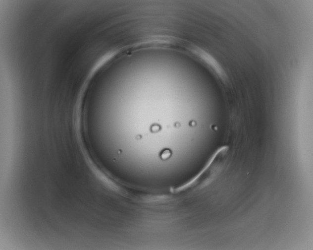 X0000113901135200910011337