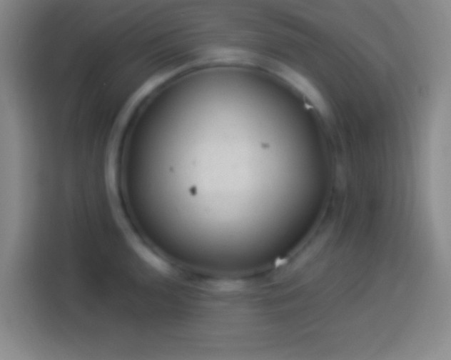 X0000113901136200910011337