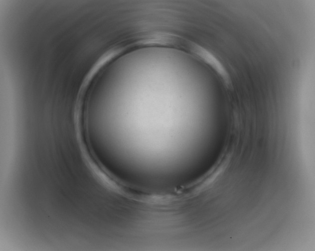 X0000113901138200910011337