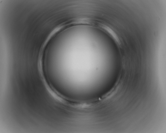 X0000113901139200910011337