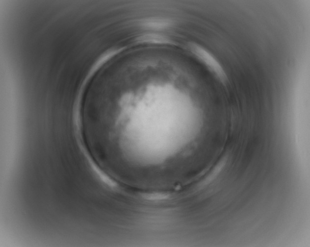 X0000113901141200910011337