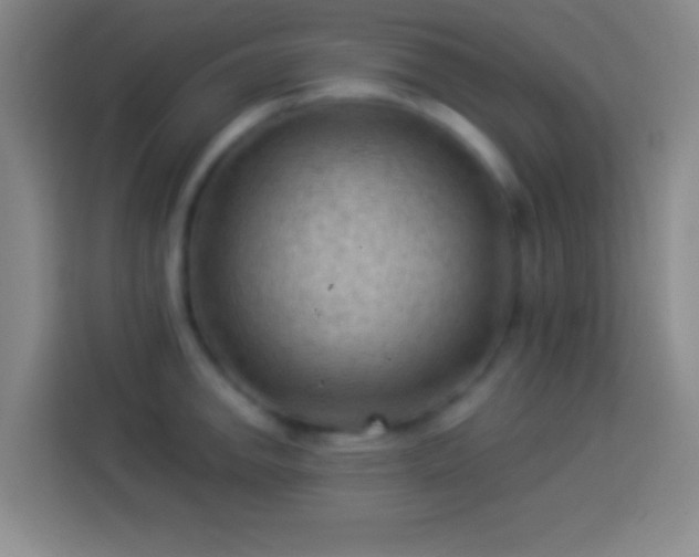 X0000113901142200910011337