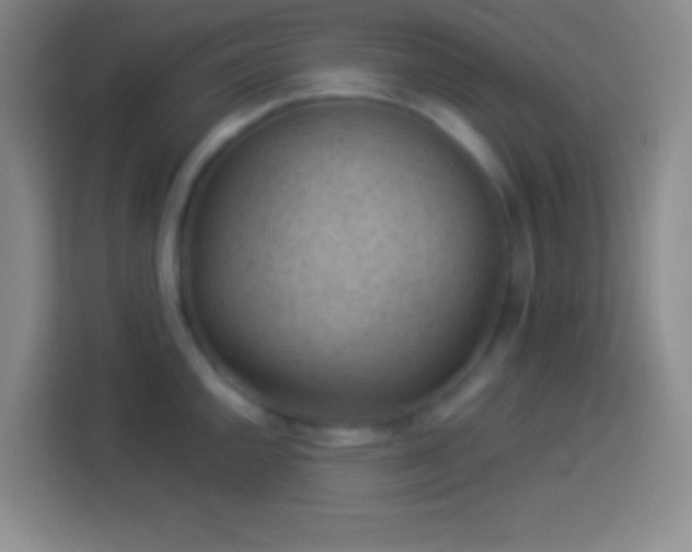 X0000113901144200910011337