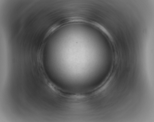 X0000113901145200910011337