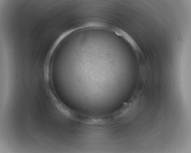 X0000113901148200910011337