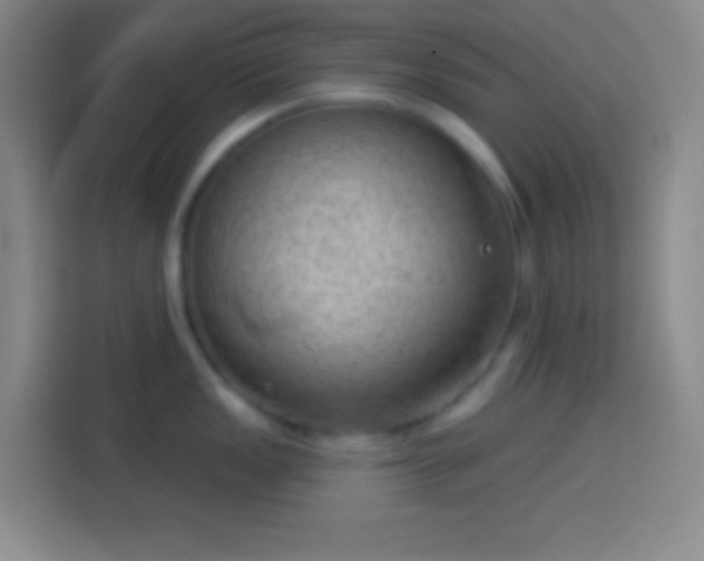 X0000113901149200910011337