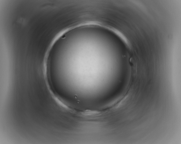 X0000113901151200910011337