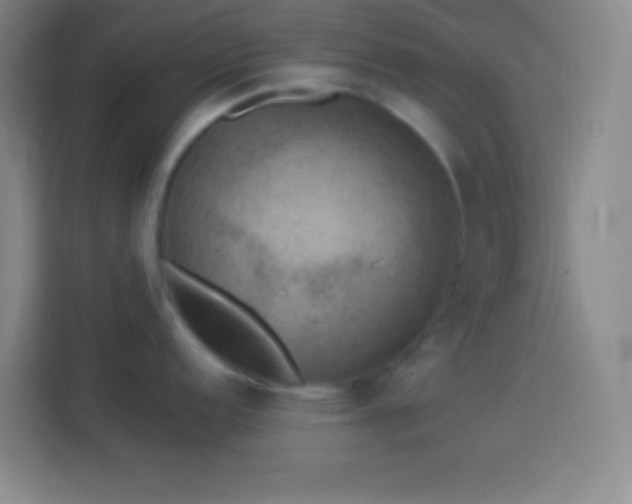 X0000113901152200910011337