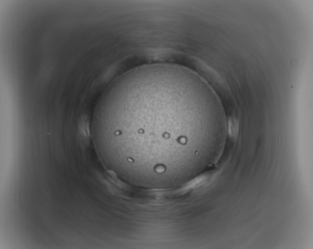 X0000113901155200910011337