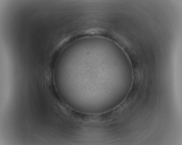 X0000113901158200910011337