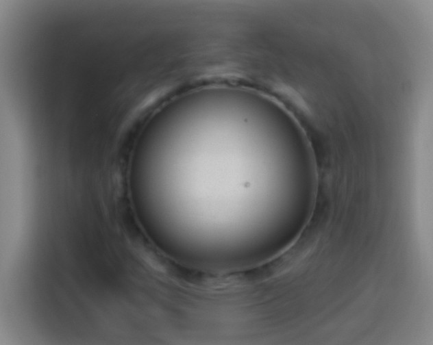 X0000113901159200910011337