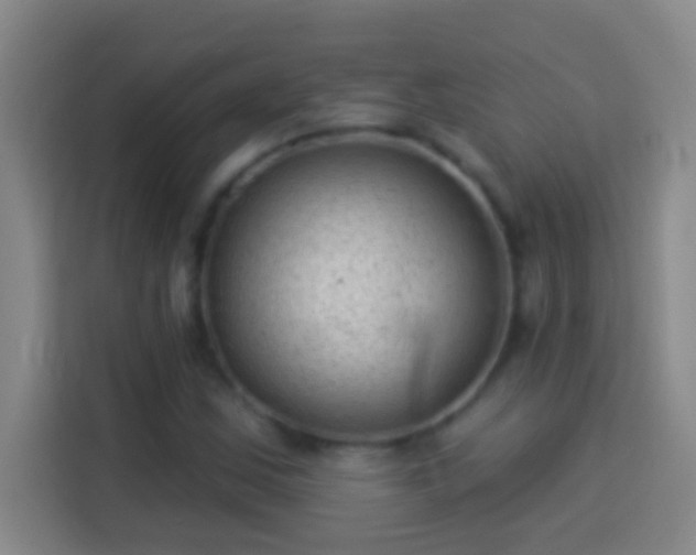 X0000113901163200910011337