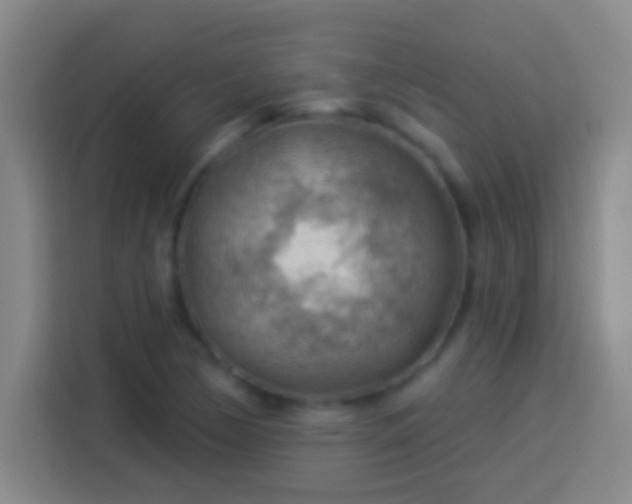 X0000113901170200910011337