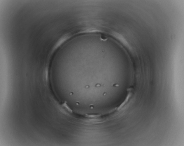 X0000113901173200910011336