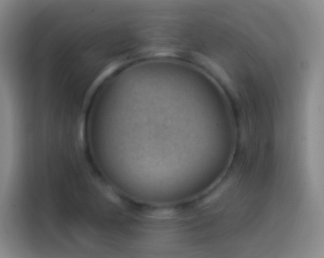 X0000113901174200910011336