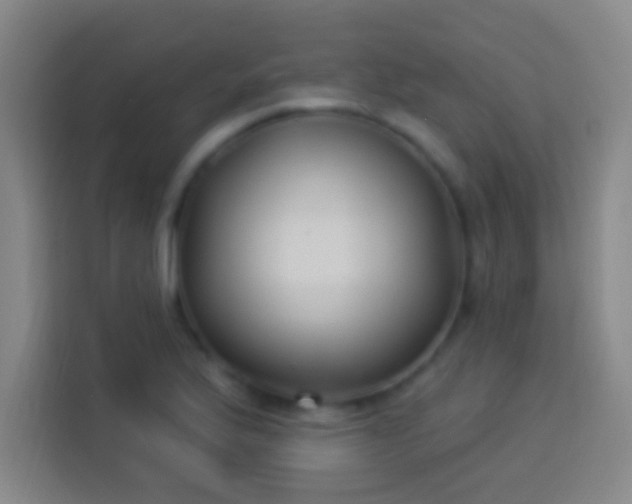 X0000113901175200910011336