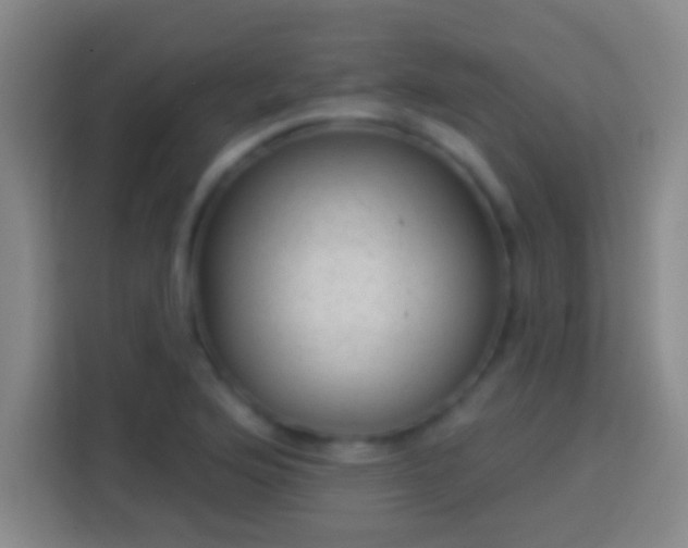 X0000113901176200910011336