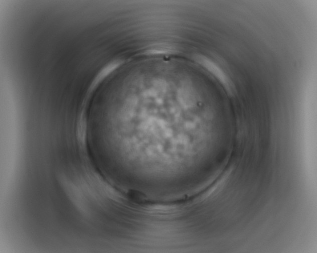 X0000113901179200910011336