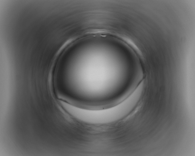 X0000113901181200910011336