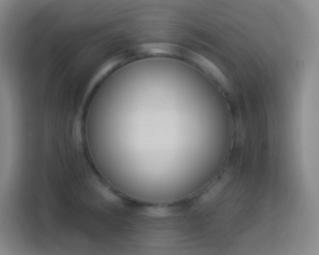 X0000113901182200910011336