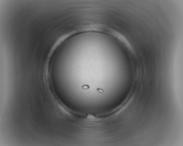 X0000113901184200910011336