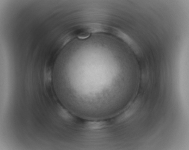 X0000113901185200910011336