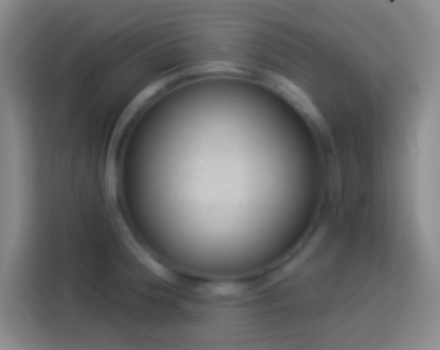 X0000113901188200910011336