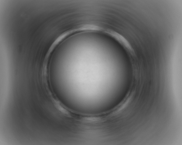 X0000113901192200910011336