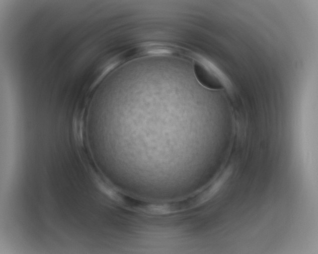 X0000113901194200910011336