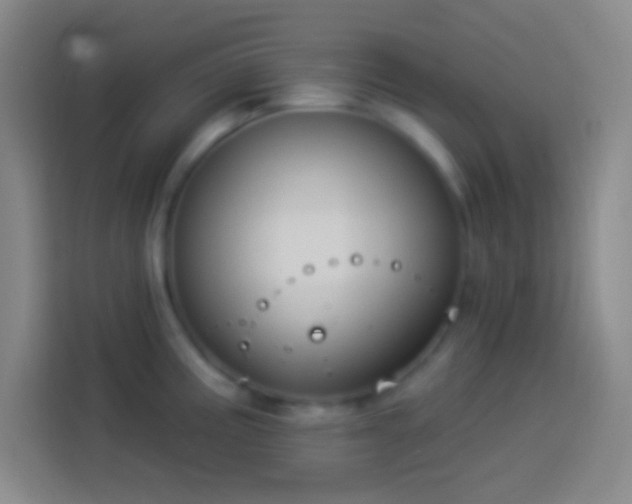 X0000113901195200910011336