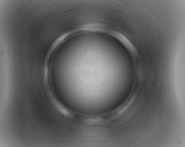 X0000113901196200910011336