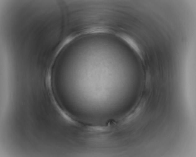 X0000113901197200910011336