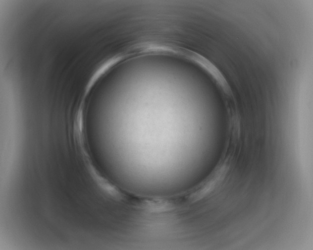 X0000113901198200910011336