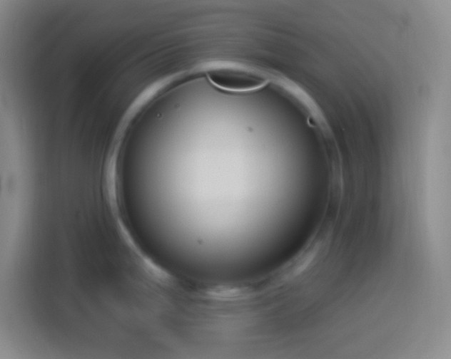 X0000113901199200910011336