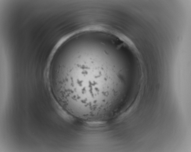 X0000113901200200910011336