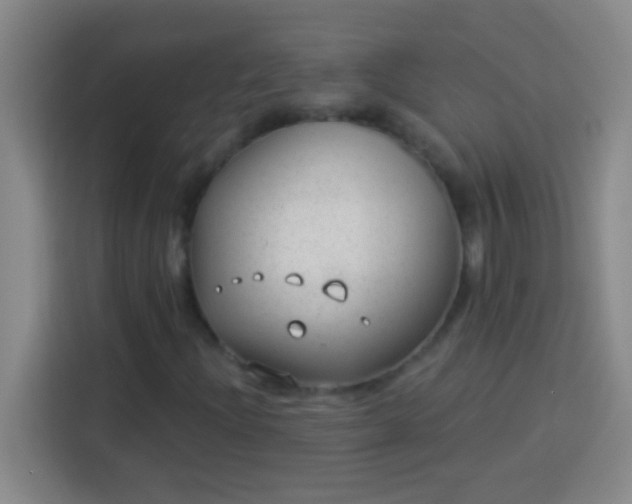 X0000113901204200910011336