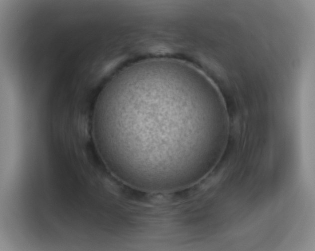 X0000113901205200910011336