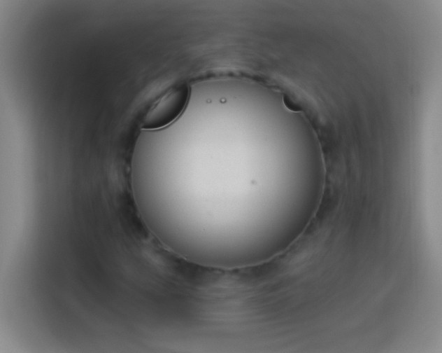 X0000113901207200910011336