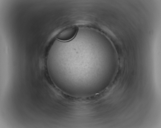 X0000113901208200910011336