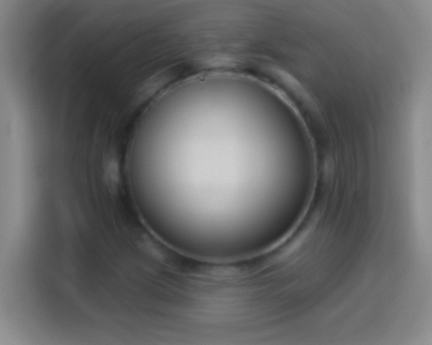 X0000113901209200910011336