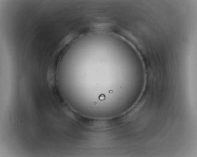 X0000113901211200910011336