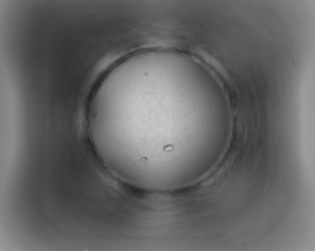 X0000113901215200910011336