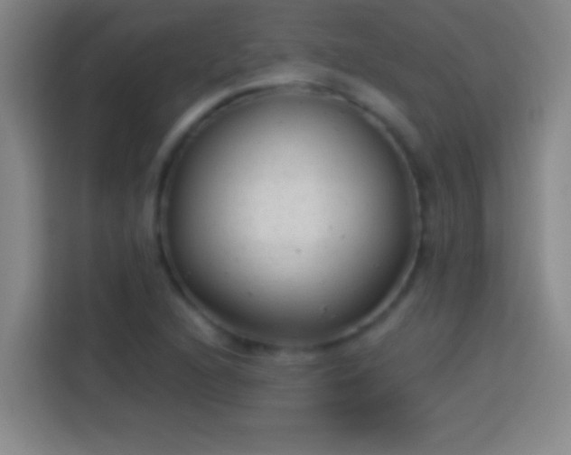 X0000113901216200910011336