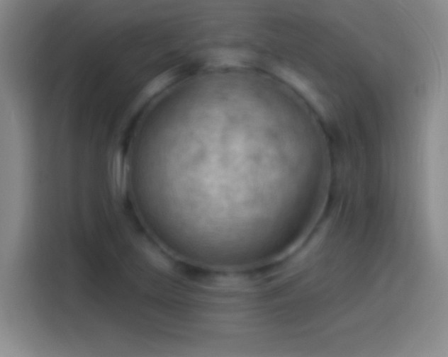 X0000113901219200910011336