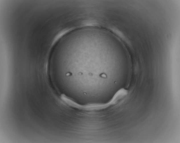 X0000113901222200910011336