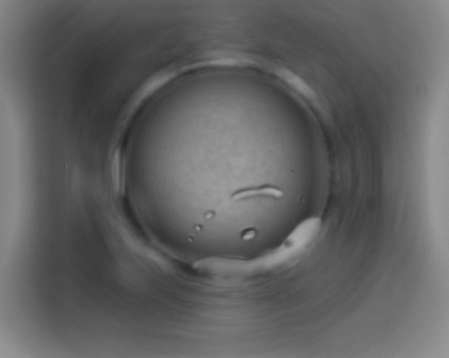 X0000113901223200910011336