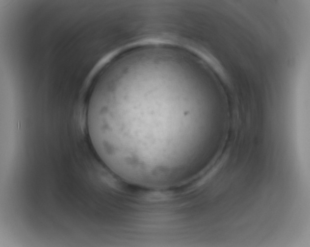 X0000113901224200910011336