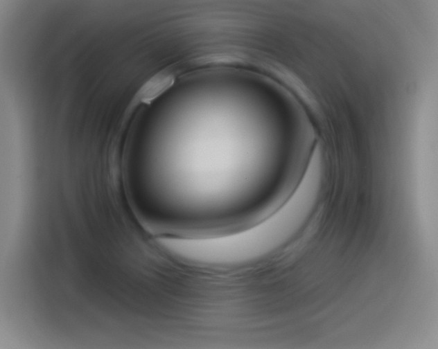 X0000113901226200910011336