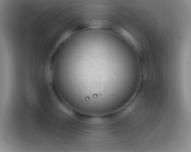 X0000113901227200910011336